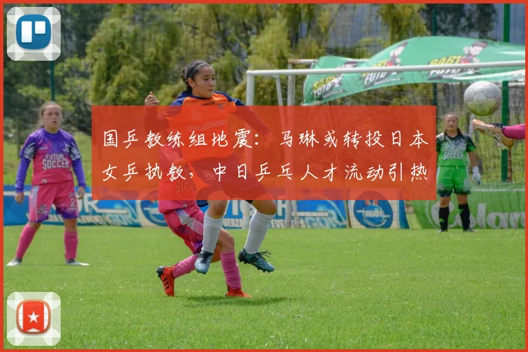 国乒教练组地震：马琳或转投日本女乒执教，中日乒乓人才流动引热议