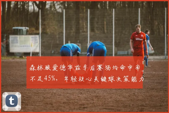 森林狼爱德华兹季后赛场均命中率不足45%,年轻核心关键球决策能力待检验